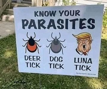 A Tick